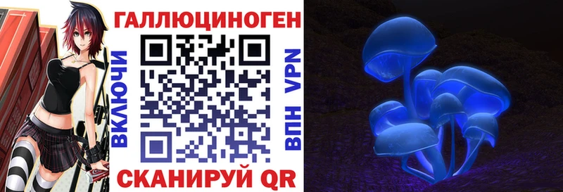 блэк спрут ONION  Трубчевск  darknet какой сайт  Псилоцибиновые грибы прущие грибы 